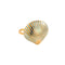 ASTI Ring